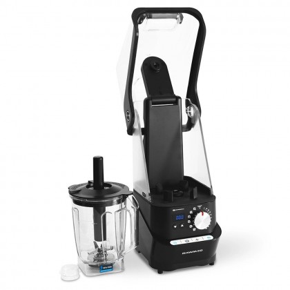 Вакуумний професійний блендер RAWMID Professional RPB-04